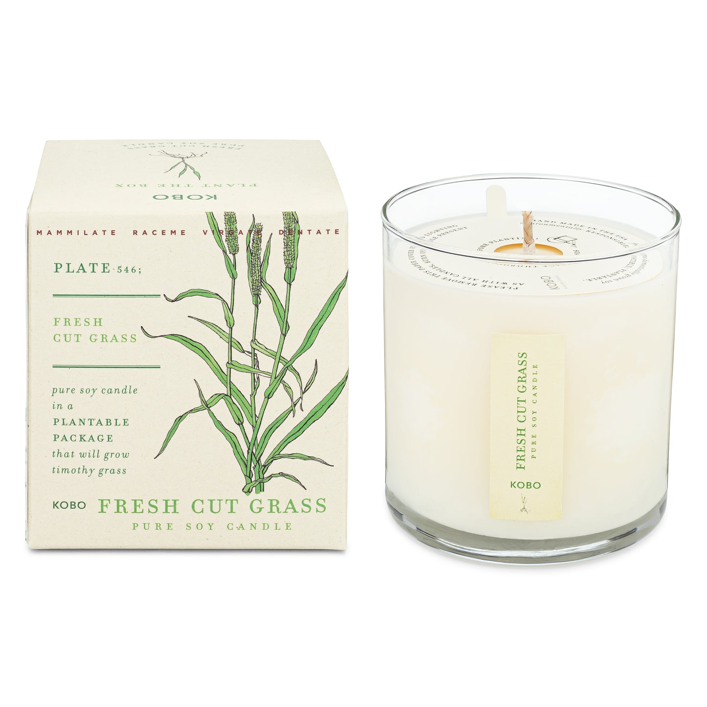 Fresh Cut Grass Plant The Box 9 oz Candle