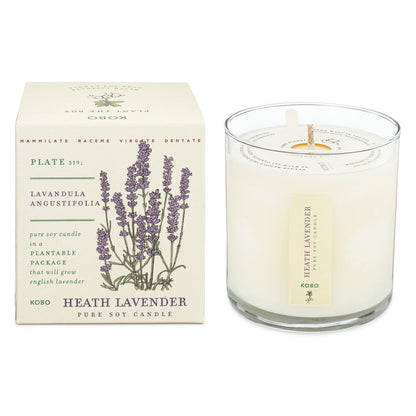 Heath Lavender Plant The Box 9 oz Candle