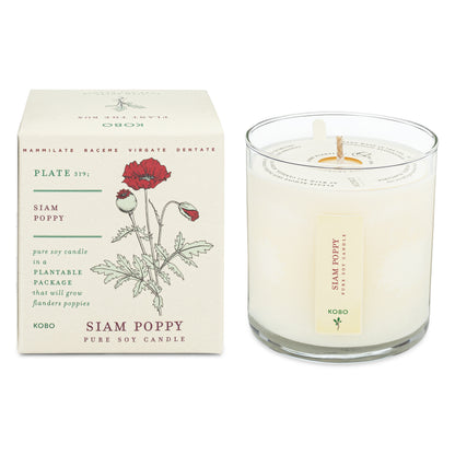 Siam Poppy Plant The Box 9 oz Candle