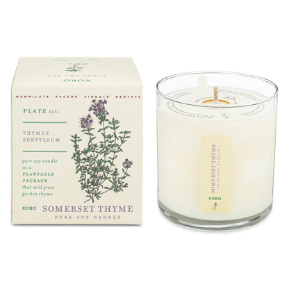 Somerset Thyme Plant The Box 9 oz Candle