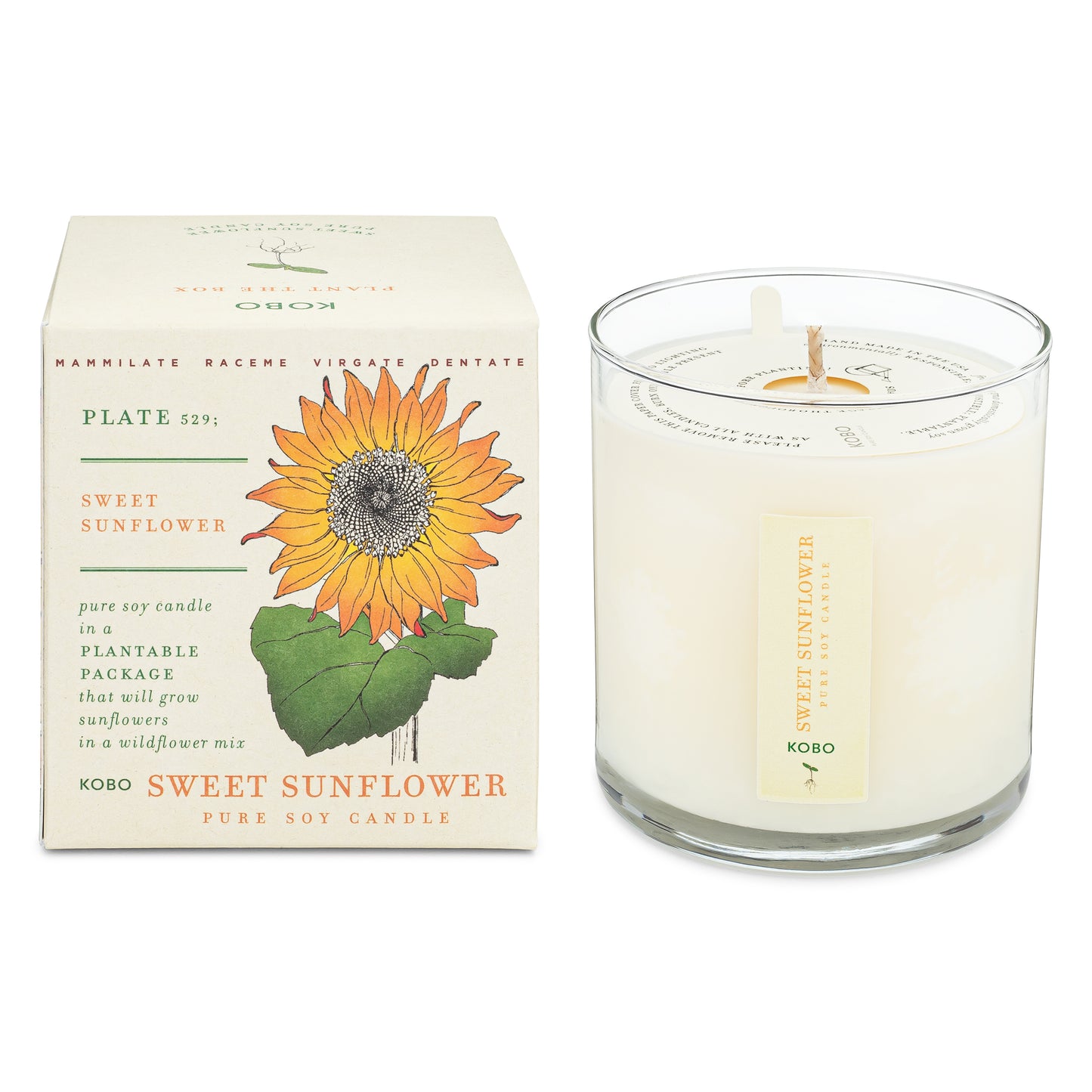 Sweet Sunflower Plant The Box 9 oz Candle