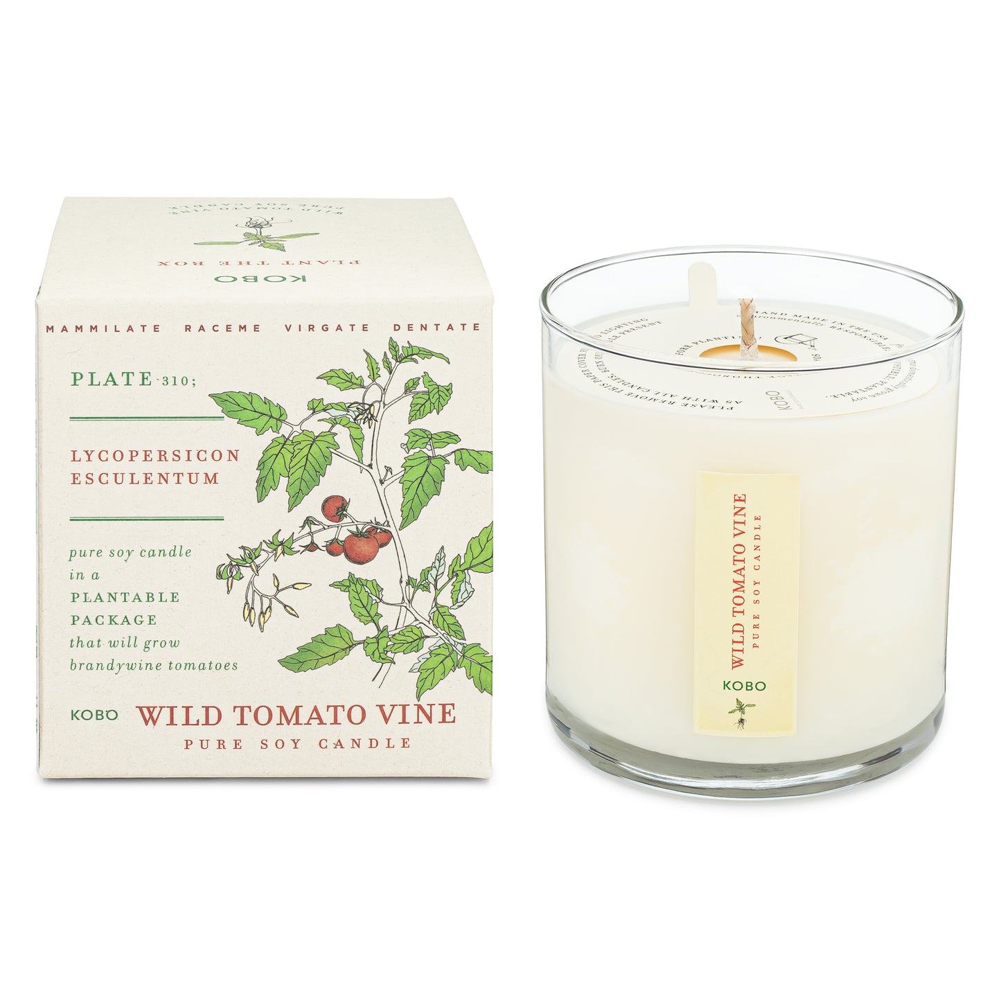 Wild Tomato Vine Plant the Box 9 oz Candle