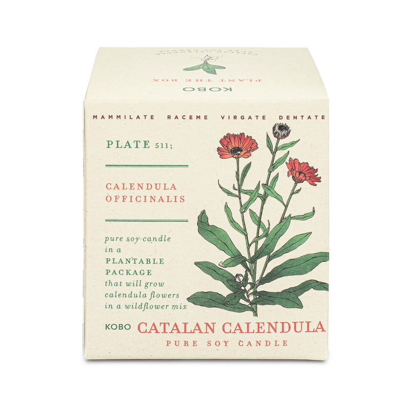 Catalan Calendula Plant The Box 9 oz Candle