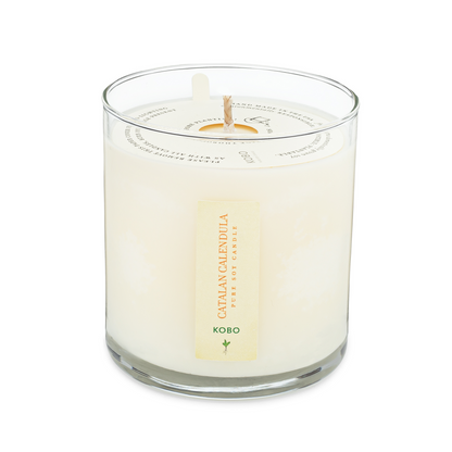 Catalan Calendula Plant The Box 9 oz Candle