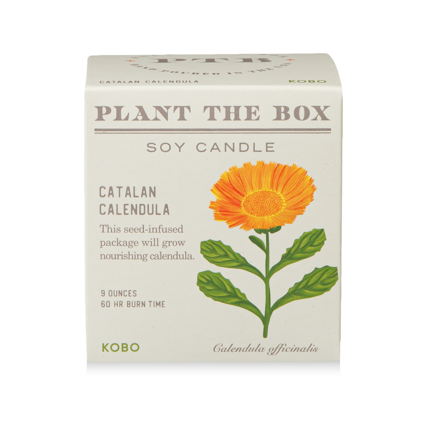 Primary Image of Catalan Calendula Candle