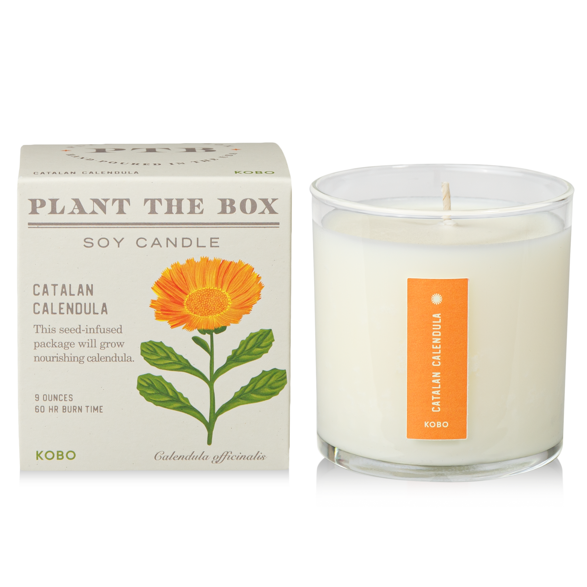 Alternate Image of Catalan Calendula Candle