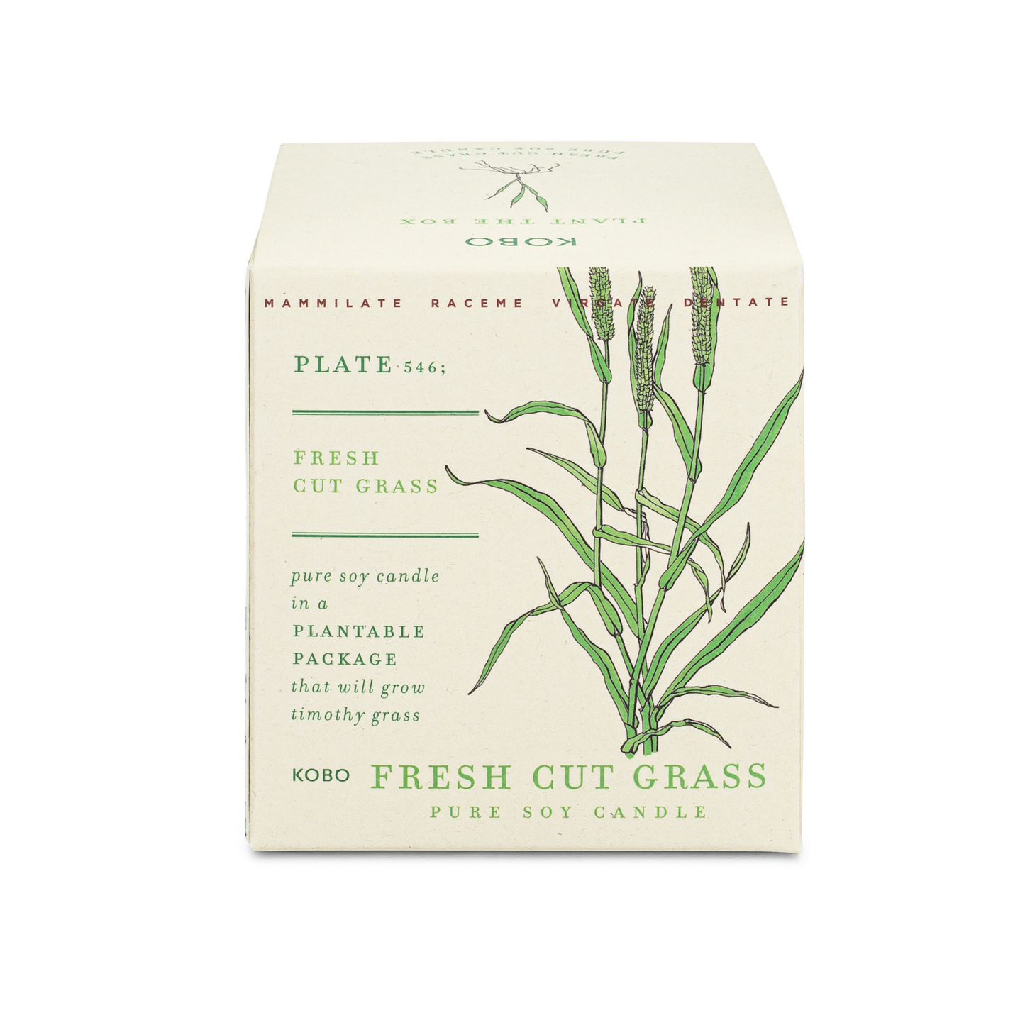 Fresh Cut Grass Plant The Box 9 oz Candle