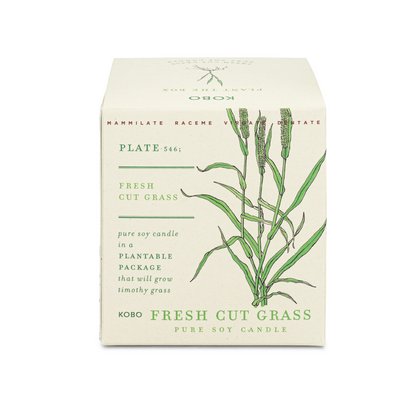 Fresh Cut Grass Plant The Box 9 oz Candle