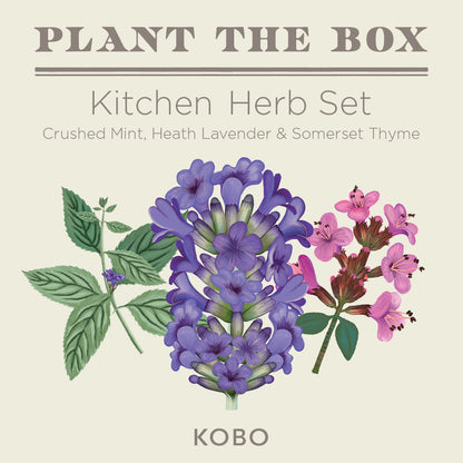 Kitchen Herb Plant the Box Candle Gift Set