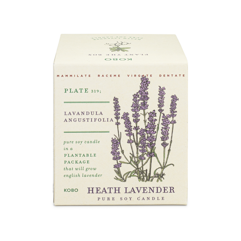 Heath Lavender Plant The Box 9 oz Candle