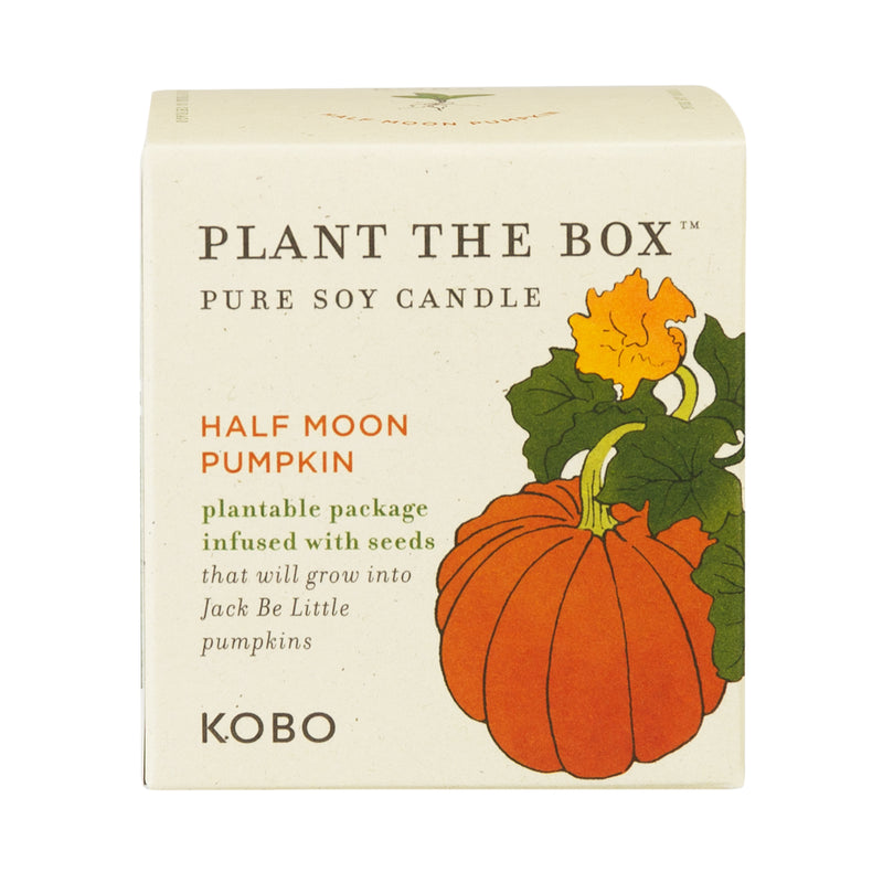 Primary Image of Plant The Box Half Moon Pumpkin Candle