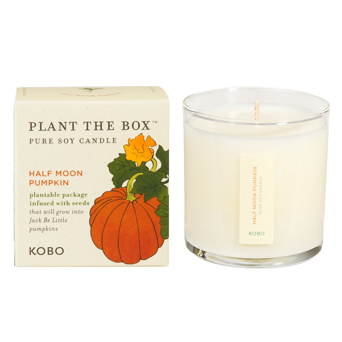 Alternate Image of Half Moon Pumpkin Plant The Box 9 oz Candle