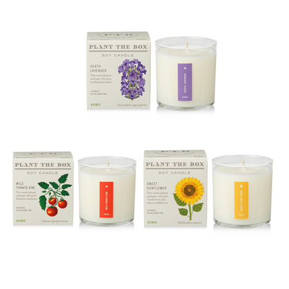 Bestselling Botanicals Plant the Box Candle Gift Set