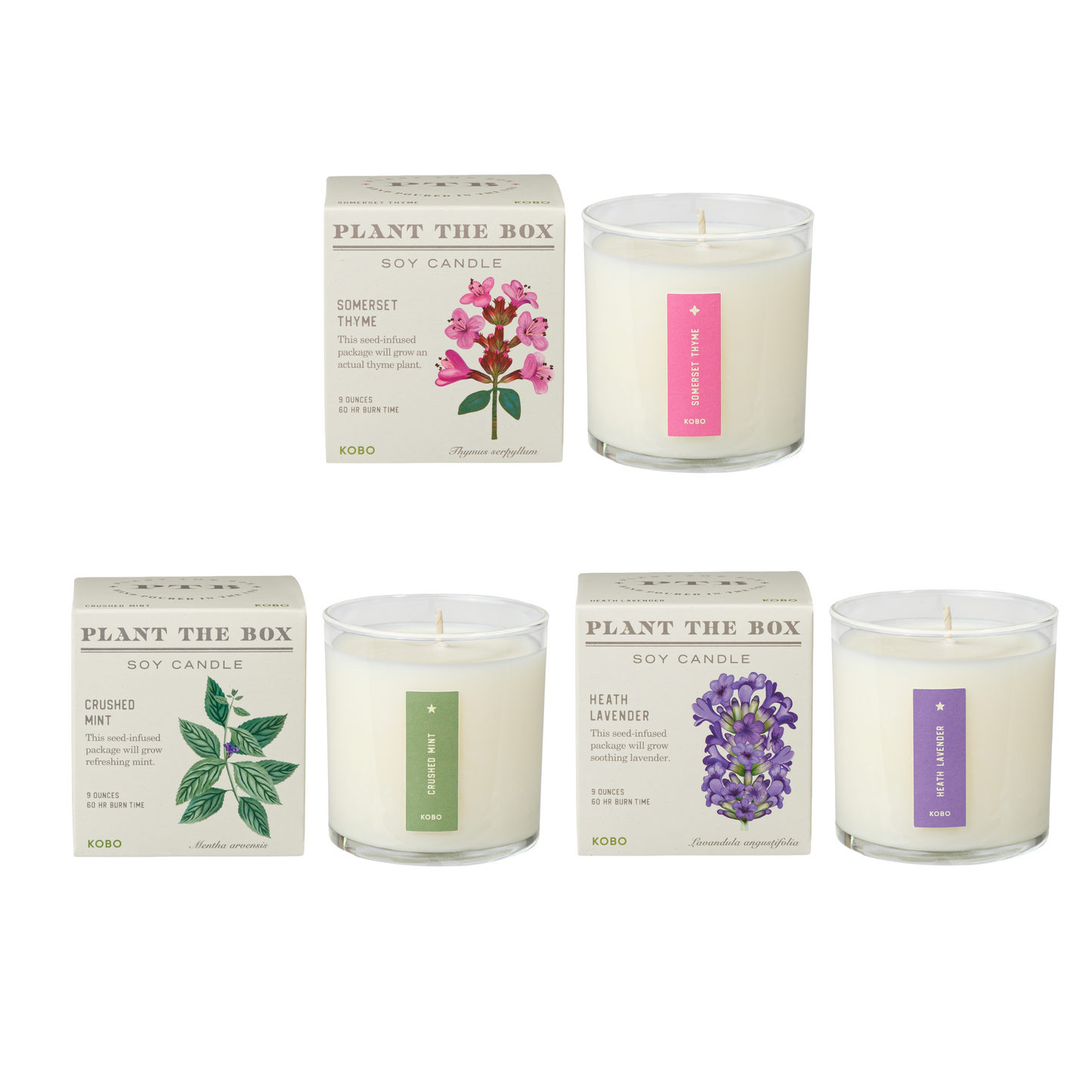 Kitchen Herb Plant the Box Candle Bundle