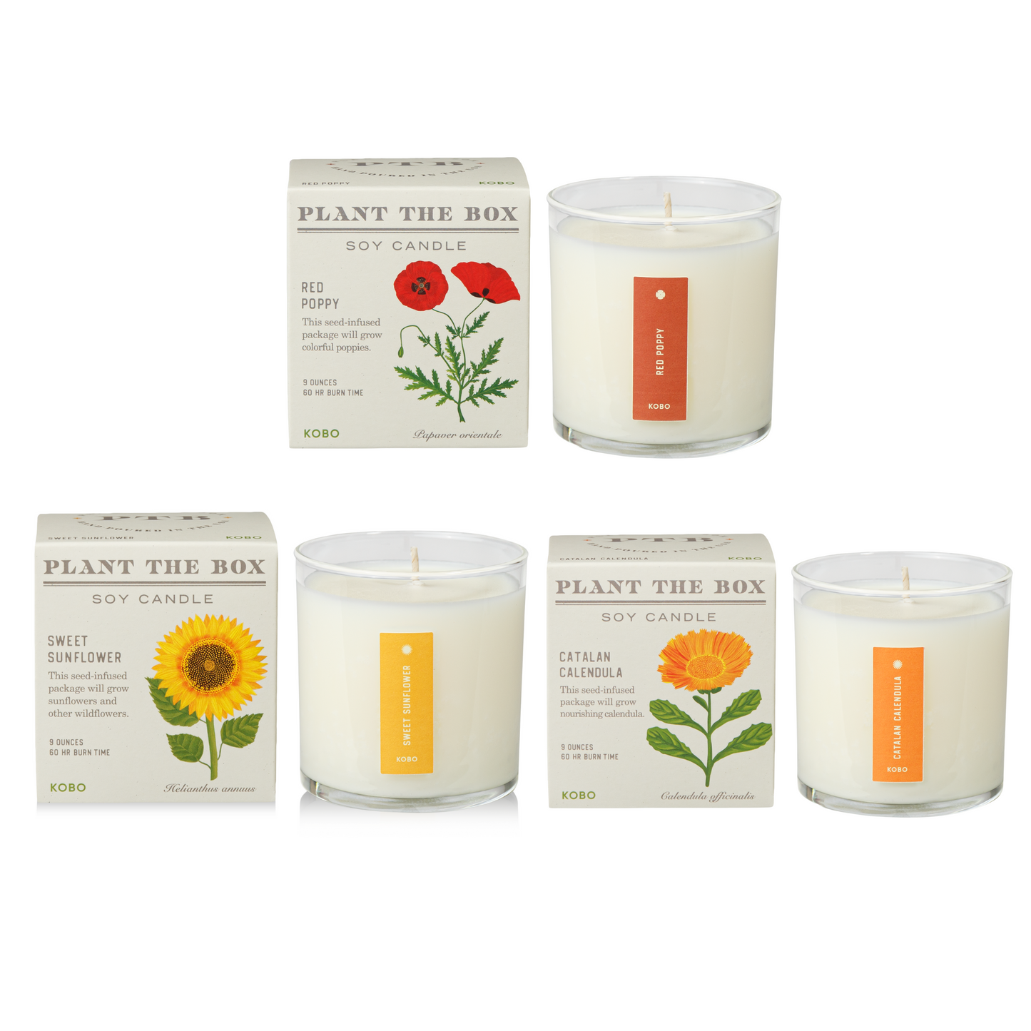 Lush Floral Plant the Box Candle Gift Set