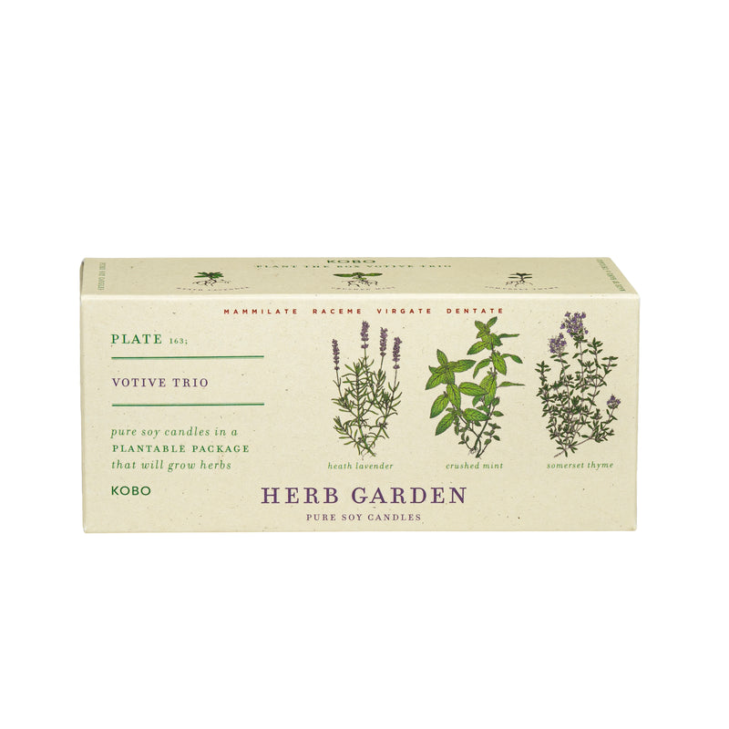 Herb Garden Plant the Box Votive Candle Trio