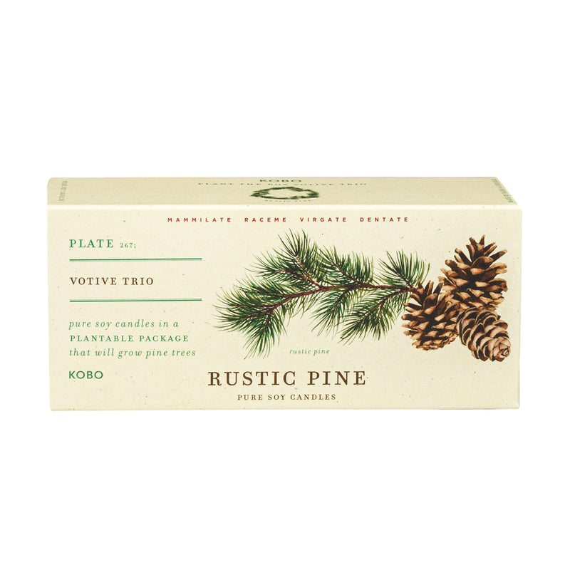 Rustic Pine Plant the Box Votive Candle Trio