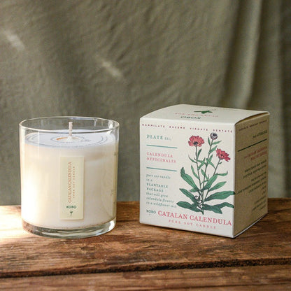 KOBO Catalan Calendula Plant The Box Candle