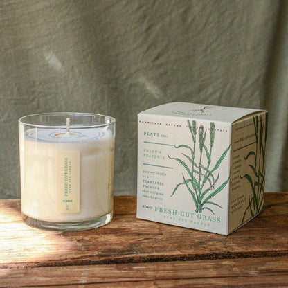 KOBO Fresh Cut Grass Plant The Box Candle