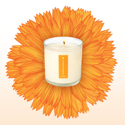 Catalan Calendula Plant The Box Candle