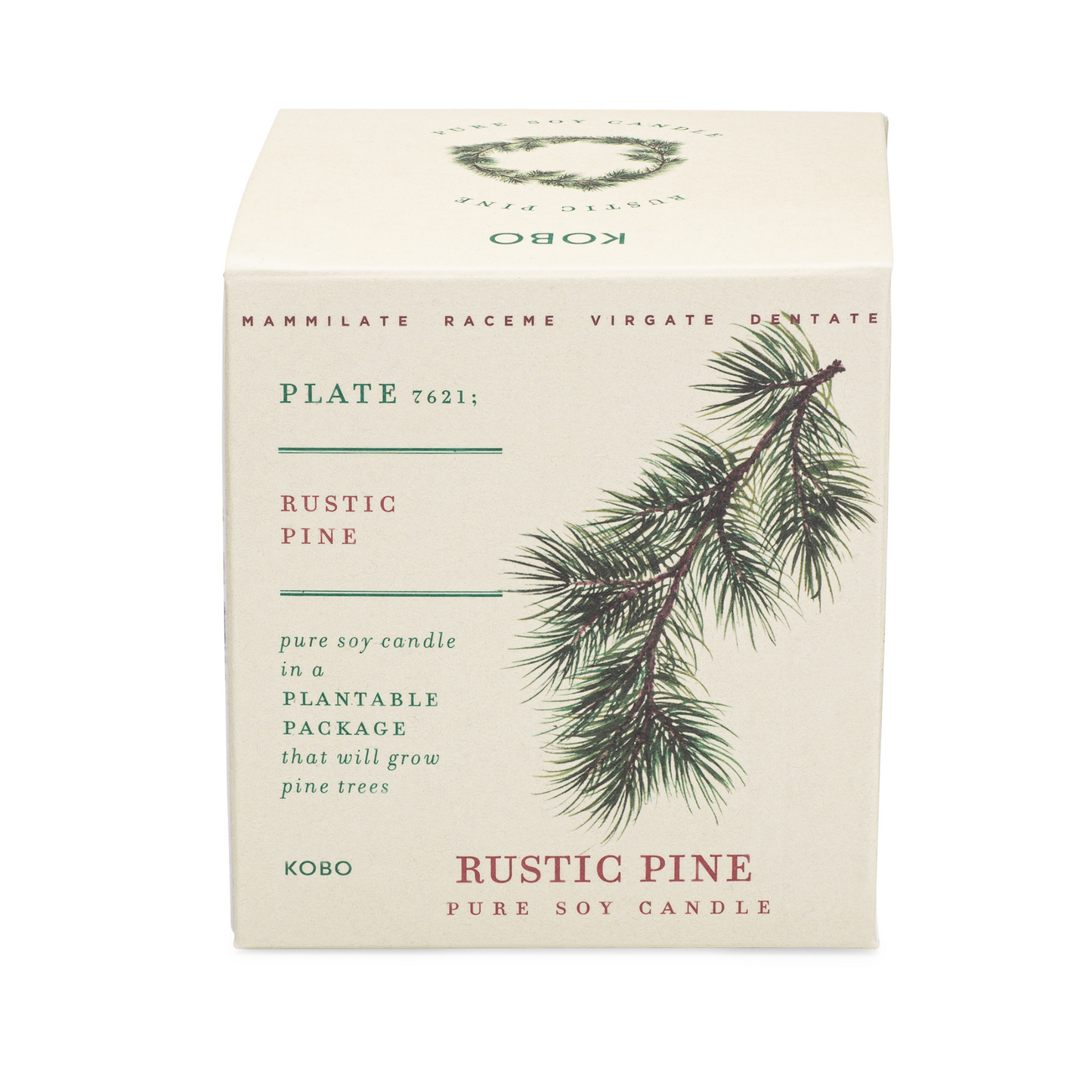 Rustic Pine Plant The Box 9 oz Candle