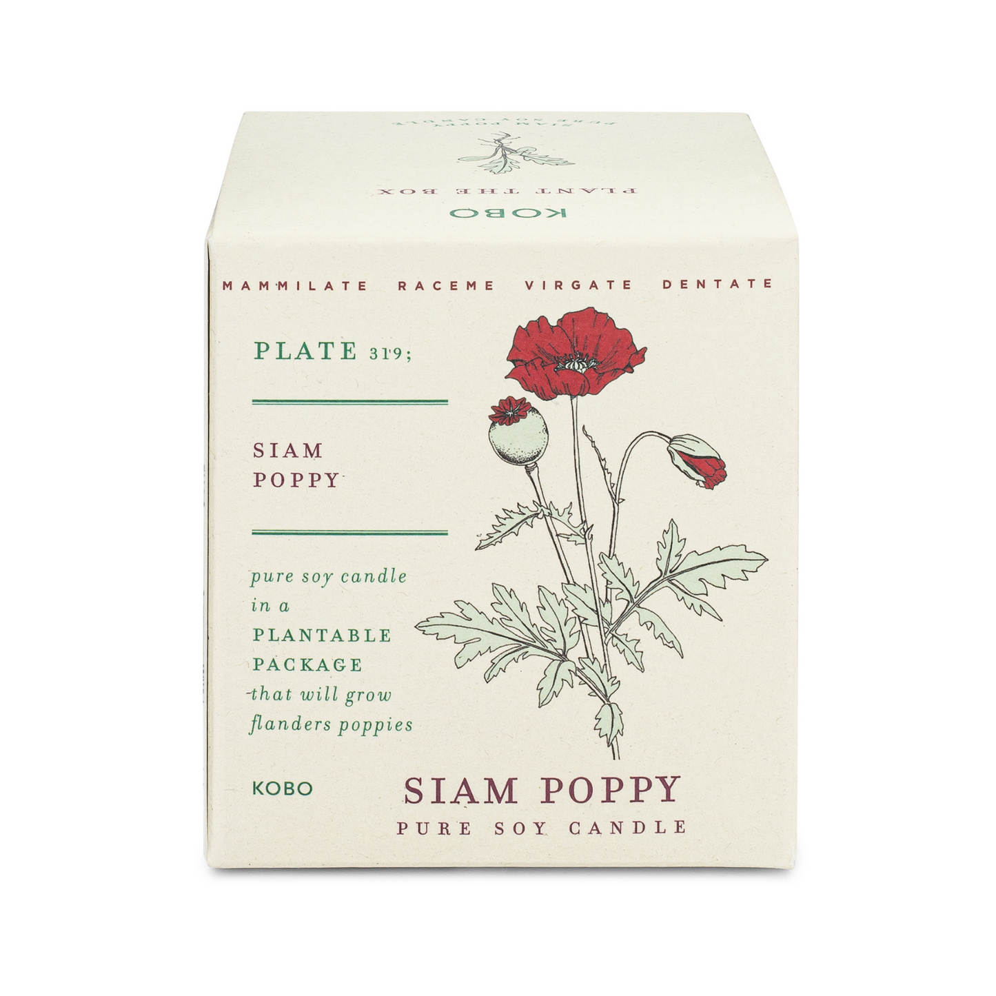 Siam Poppy Plant The Box 9 oz Candle