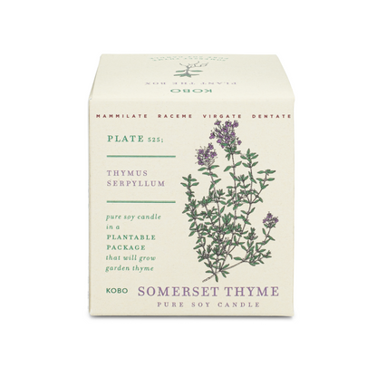 Somerset Thyme Plant The Box 9 oz Candle