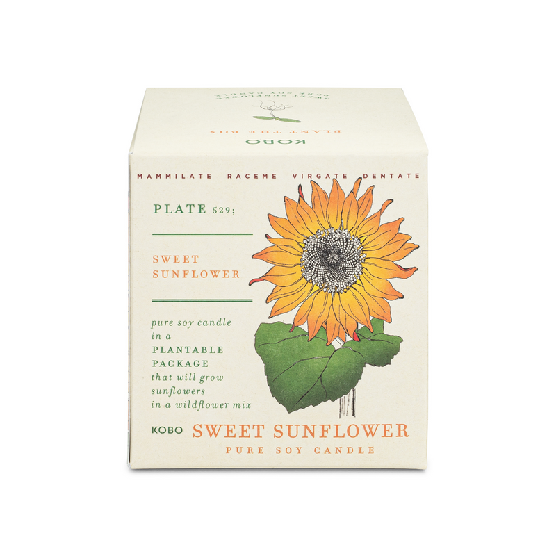 Sweet Sunflower Plant The Box 9 oz Candle