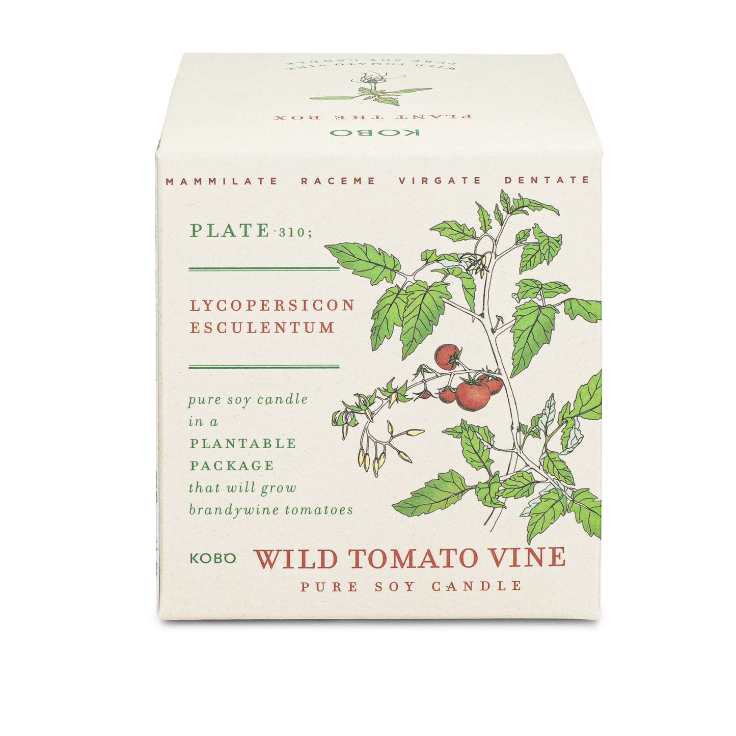 Wild Tomato Vine Plant the Box 9 oz Candle