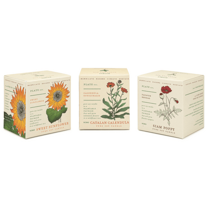 Alternate Image of Floral Bouquet Plant the Box Bundle 3 x 9 oz. Candles