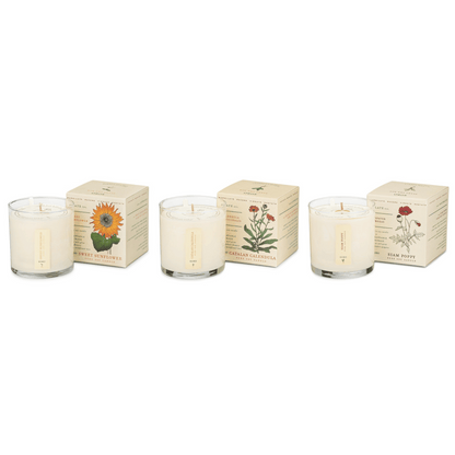 Primary Image of Floral Bouquet Plant the Box Bundle 3 x 9 oz. Candles