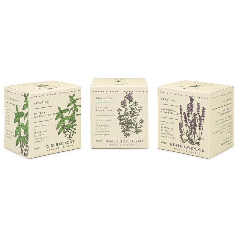 Alternate Image of Herb Garden Plant the Box Bundle 3 x 9 oz. Candles