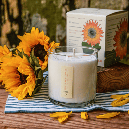 Sweet Sunflower Plant The Box 9 oz Candle