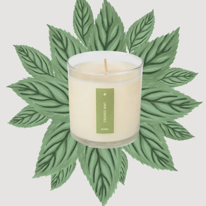 Crushed Mint Plant The Box Candle