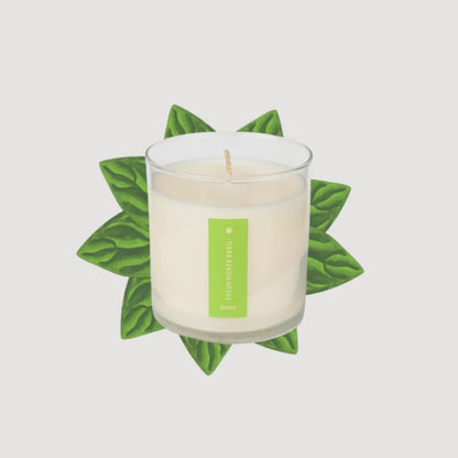 Fresh Picked Basil Plant the Box Candle