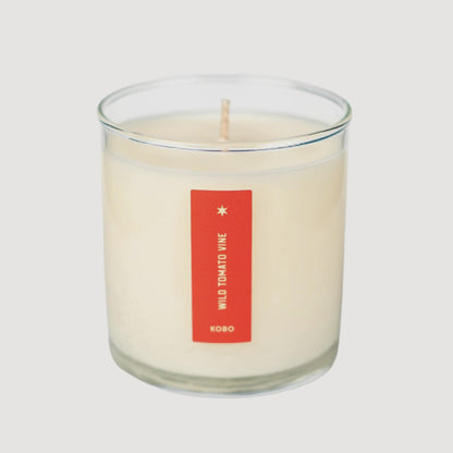 Wild Tomato Vine Plant the Box Candle