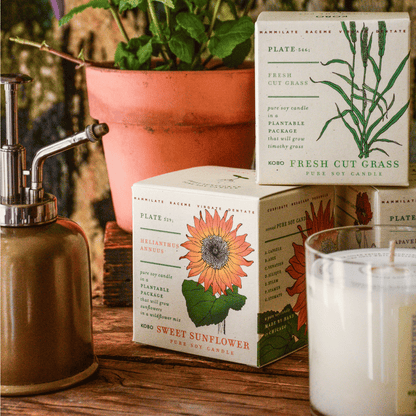 Alternate Image of Fresh Cut Grass Plant The Box 9 oz Candle