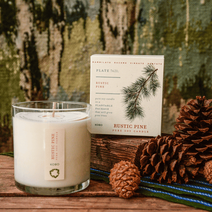 Alternate Image of Rustic Pine Plant The Box 9 oz Candle