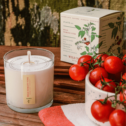 Wild Tomato Vine Plant the Box 9 oz Candle